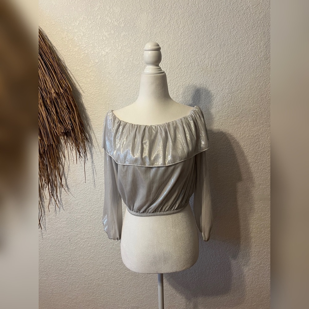Steele. Silver off-shoulder crop top